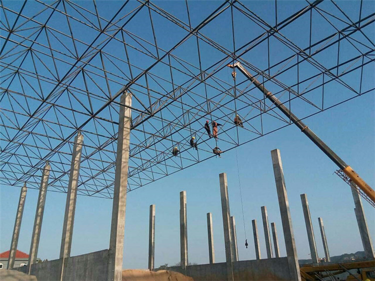 阿拉善盟加气站钢结构网架案例10